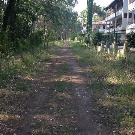 Spina 42